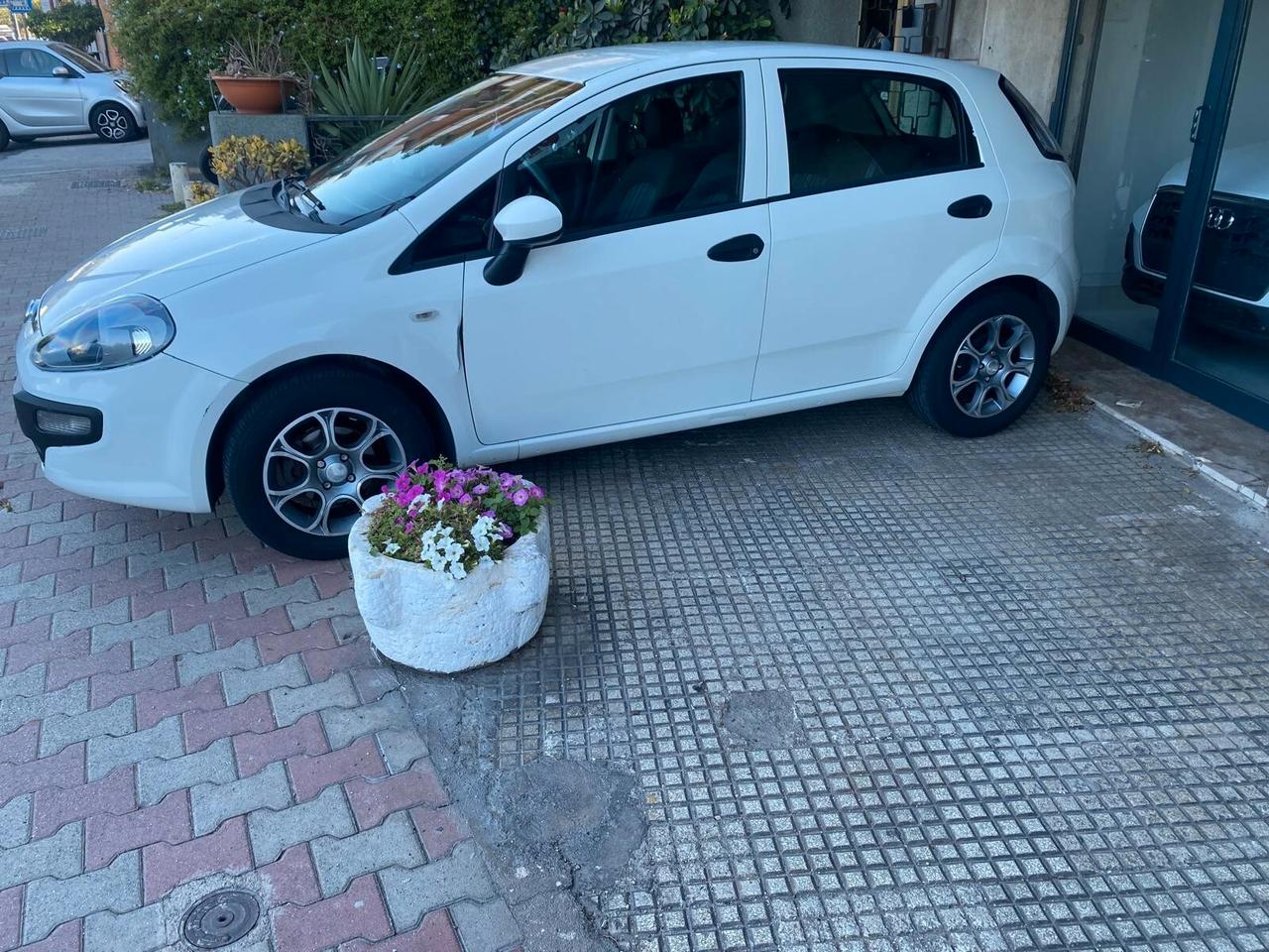 Fiat Punto Evo 1.3 Mjt 75 CV 5 porte Active