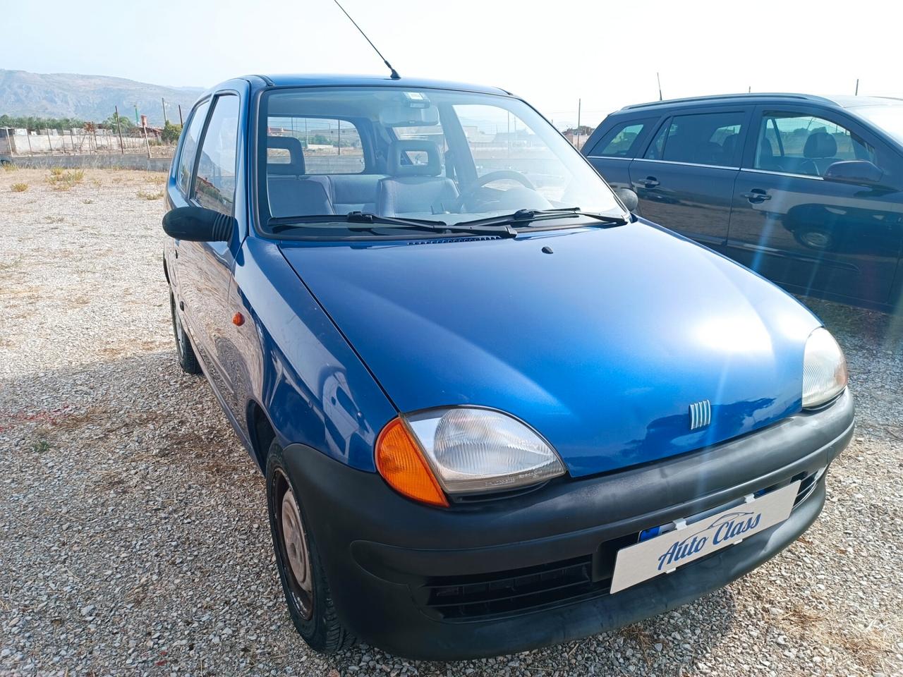 Fiat Seicento 900i cat Young