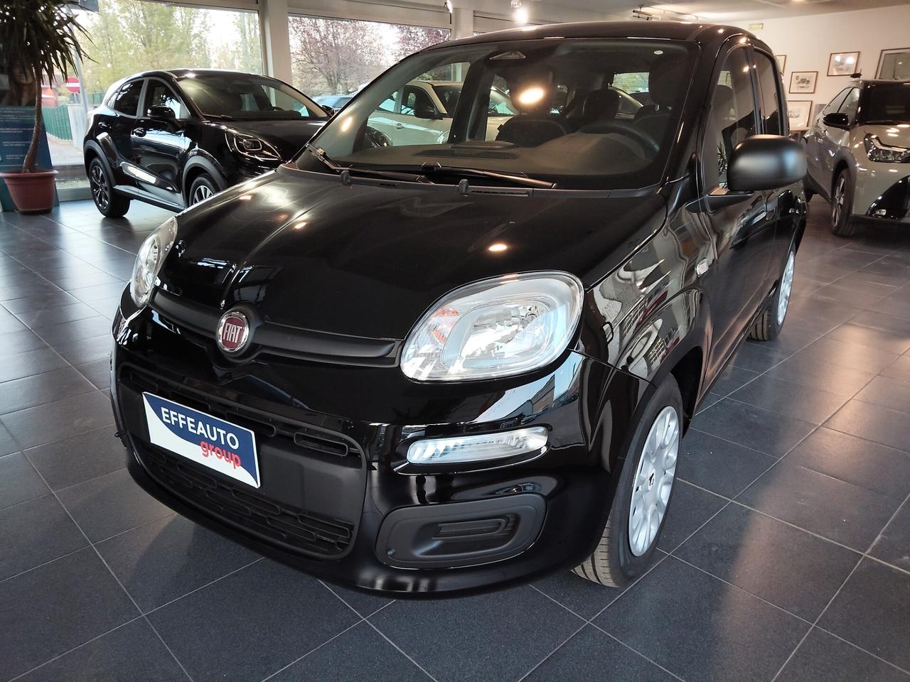 Fiat Panda 1.0 FireFly S&S Hybrid Icon