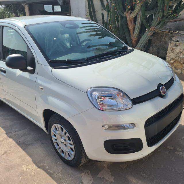 FIAT Pandina 1.0 FireFly 65 CV Hybrid Icon