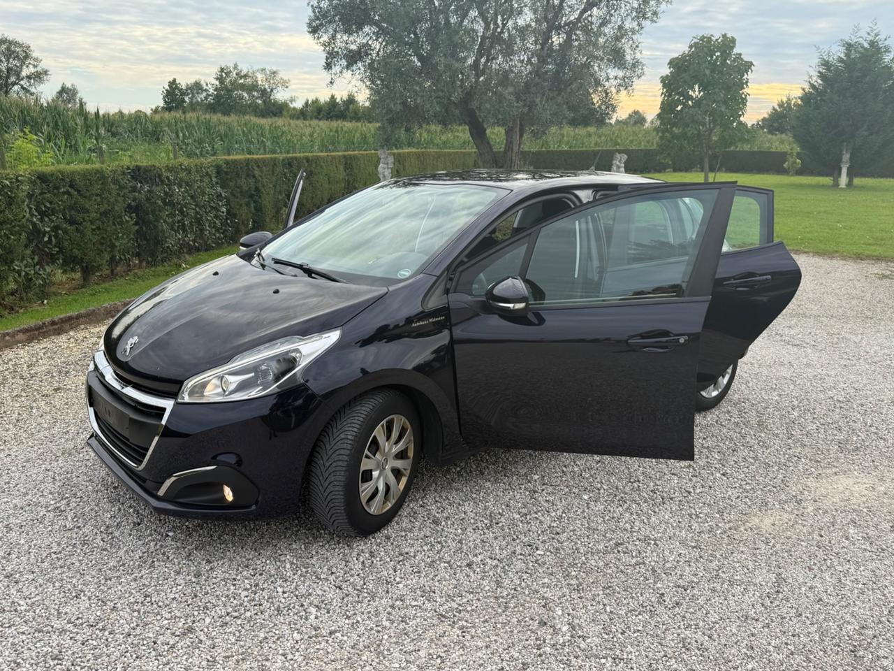 Peugeot 208 PureTech 82 5 porte Active PASSAGGIO INCLUSO