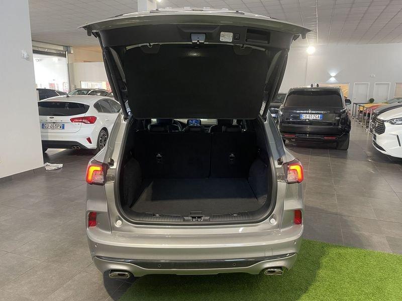 Ford Kuga Kuga 1.5 EcoBlue 120 CV aut. 2WD Titanium Business