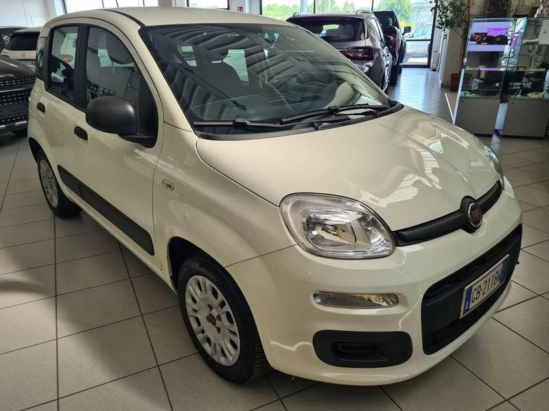 FIAT Panda Panda 1.2 Easy easypower Gpl 69cv my19