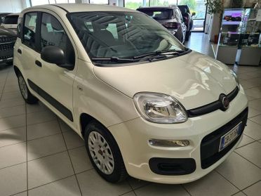 FIAT Panda Panda 1.2 Easy easypower Gpl 69cv my19