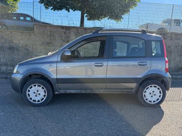 Fiat Panda 1.2 4x4 GPL