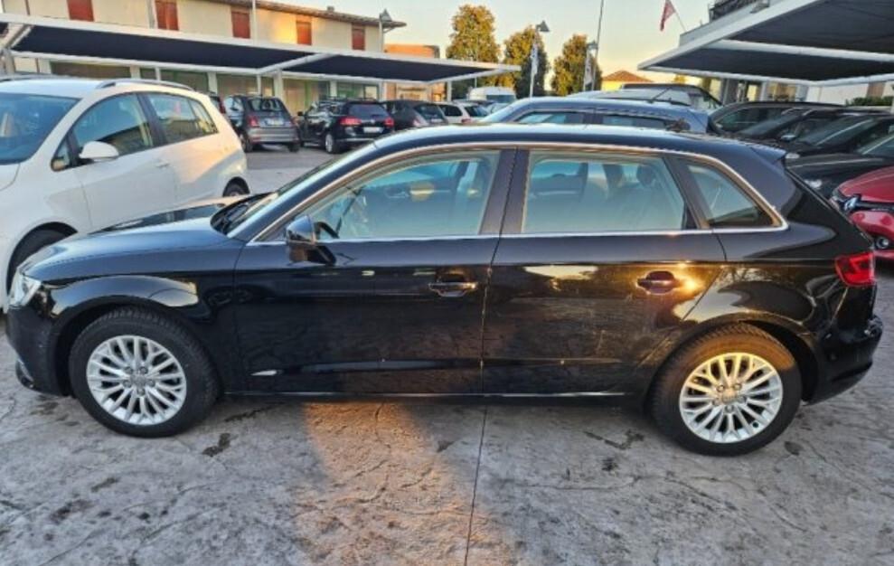 Audi A3 SPORTBACK 1.6 TDI clean diesel Ambition 110CV
