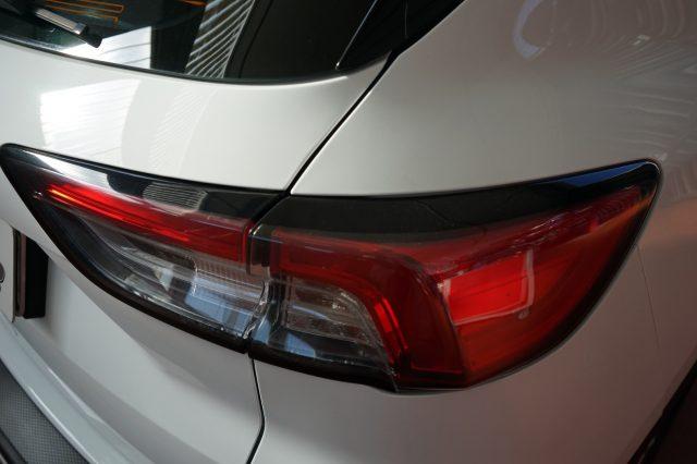 FORD Kuga 1.5 EcoBlue 120 CV 2WD Titanium Business