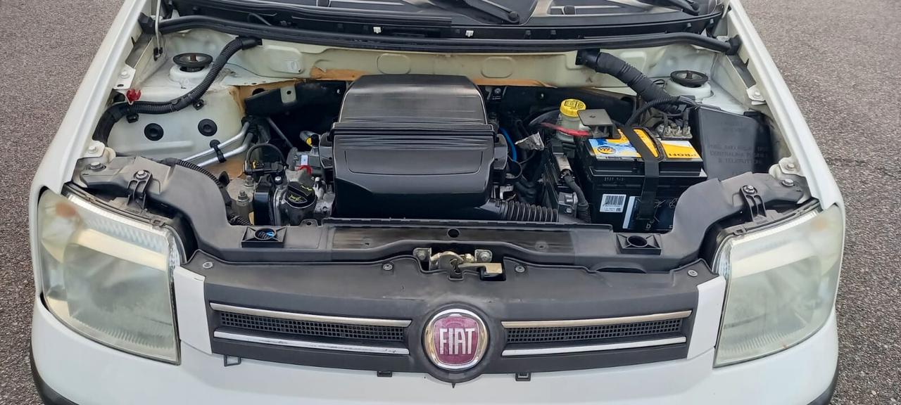 Fiat Panda Benzina cc. 1.242 5 Porte Utilizzabile anche per i Neopatentati.