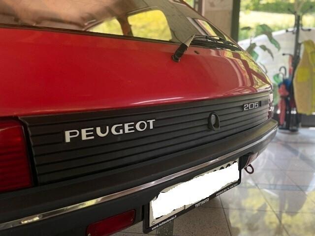 Peugeot 205 1.1 3 porte Color Line