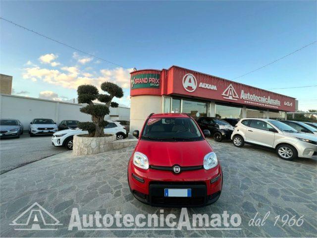 FIAT Panda 3° serie 1.0 FireFly S&S Hybrid City Life