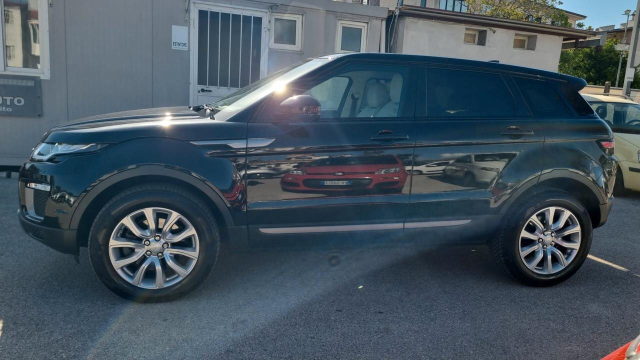Land Rover Range Evoque 2.0 TD4 150 CV 5p. Business Edition SE