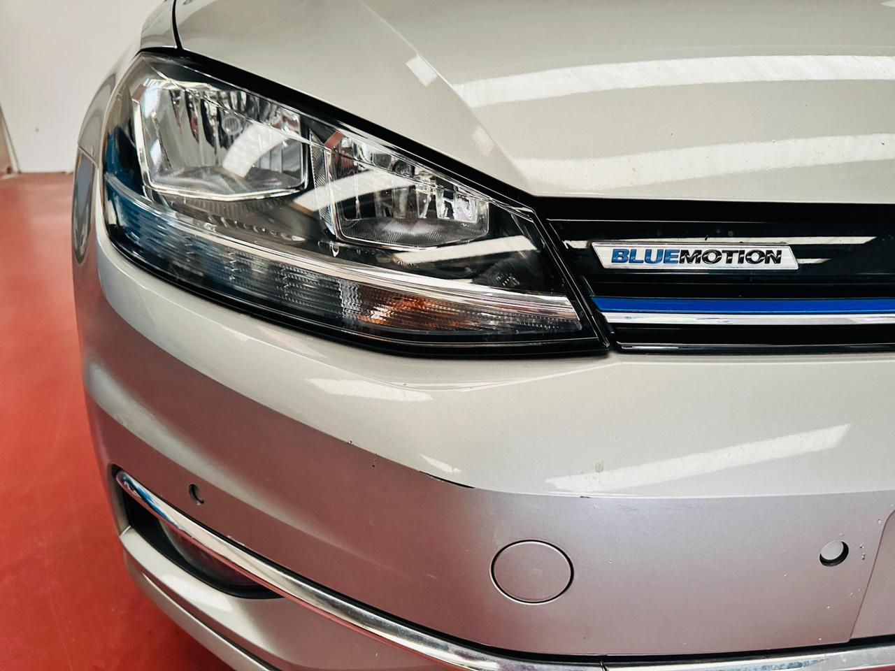 Volkswagen Golf 7.5 Variant 1.5 TSI 130 CV EVO Business BlueMotion