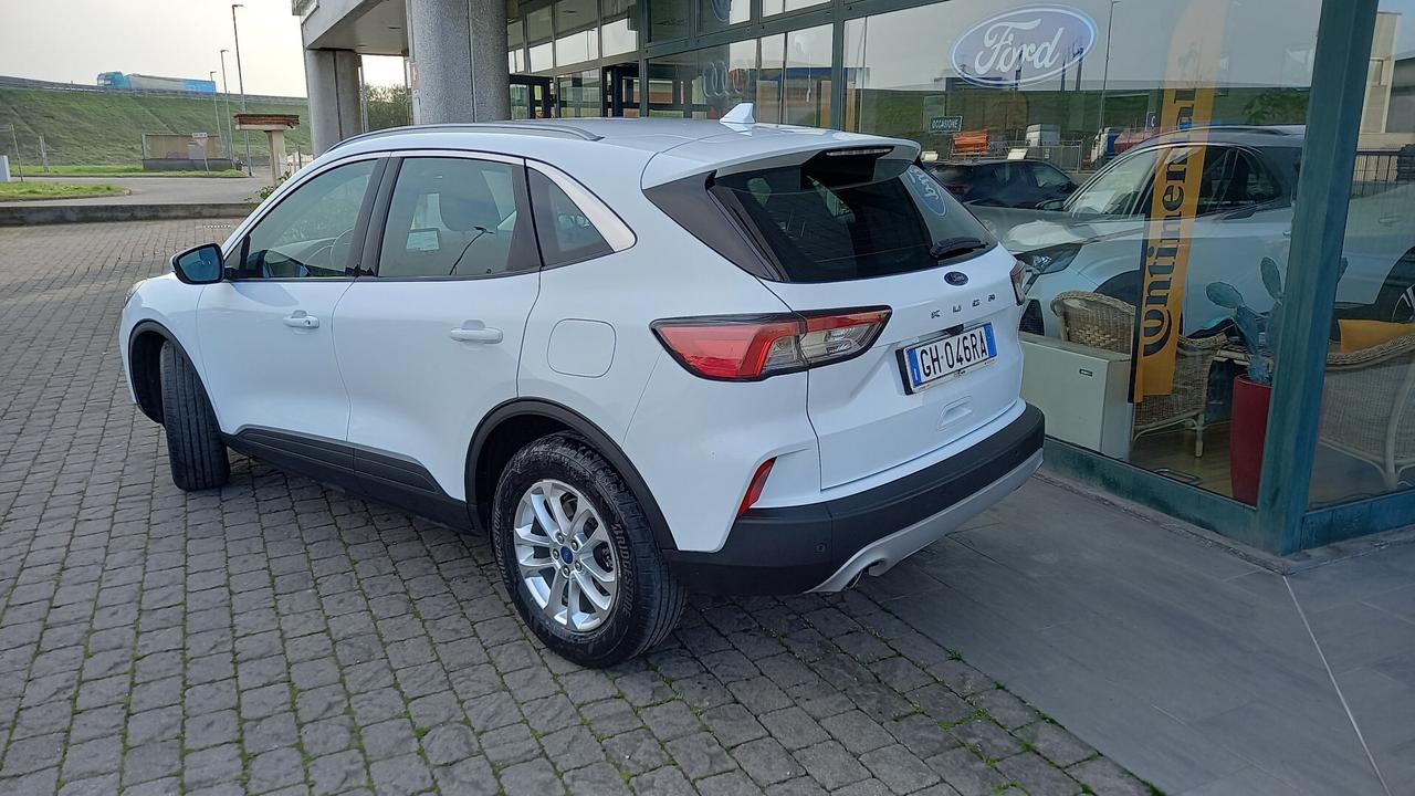 Ford Kuga 1.5 EcoBlue 120 CV aut. 2WD Titanium Business