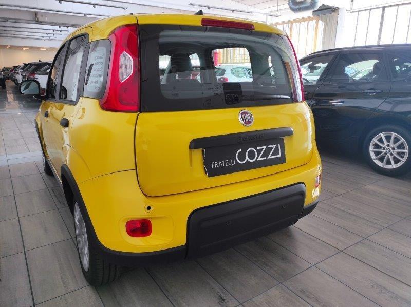 FIAT Panda 3ª serie - Panda 1.0 FireFly S&S Hybrid