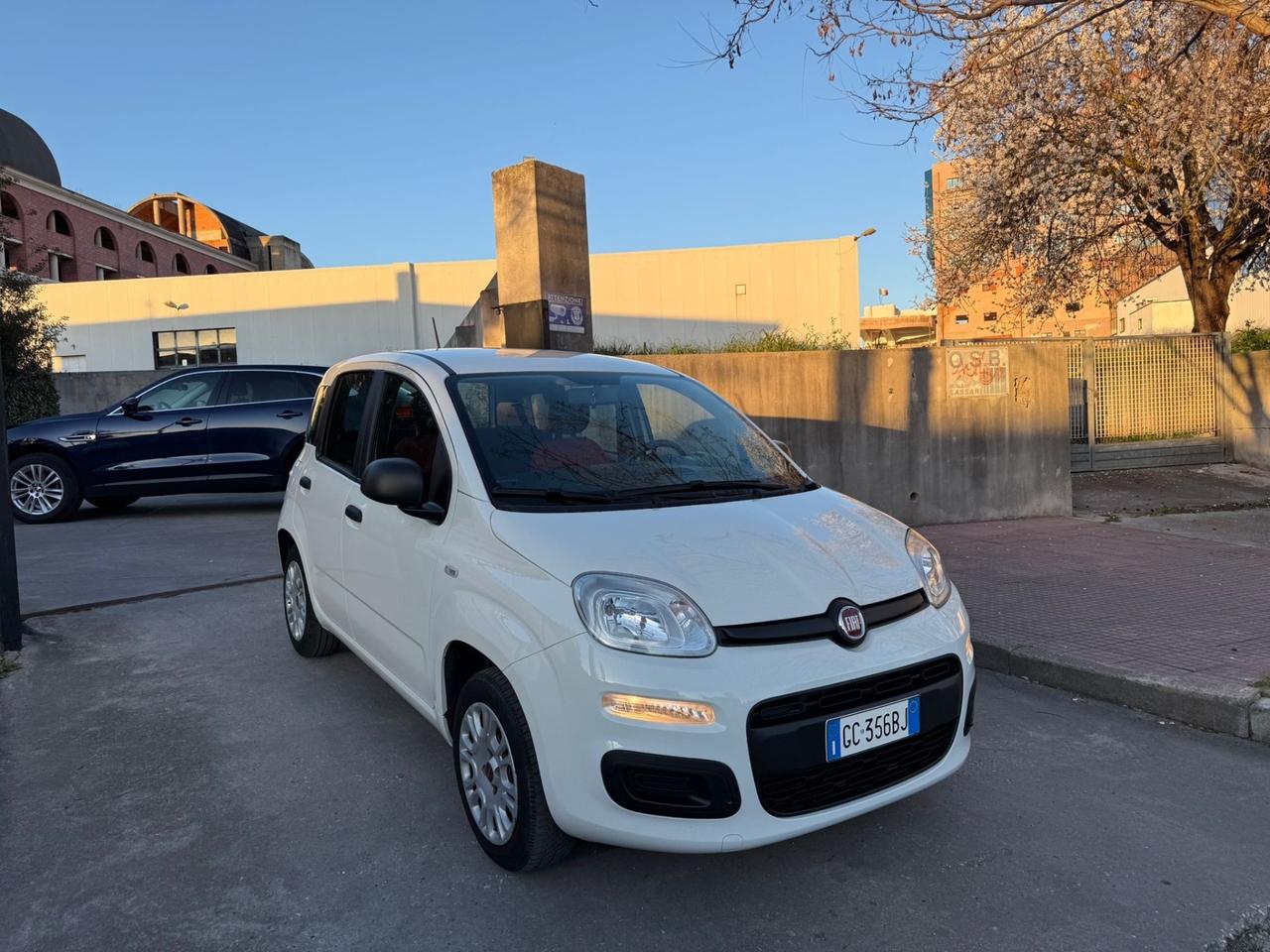 Fiat Panda KM. 34.000 1.2 Easy NEOPATENTATI