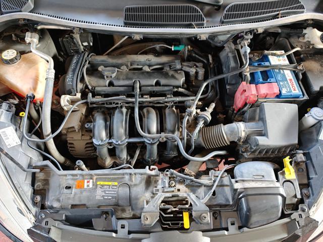 FORD Fiesta 1.2 Benzina 5 porte ( DISTRIBUZIONE FATTA )