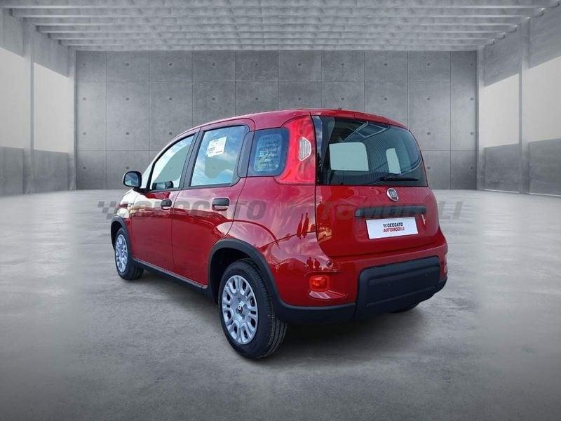 FIAT Panda 1.0 70cv Hybrid Panda