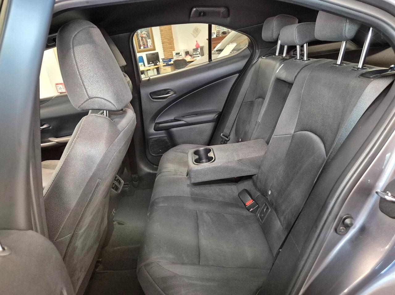 Lexus UX Hybrid 4WD Business