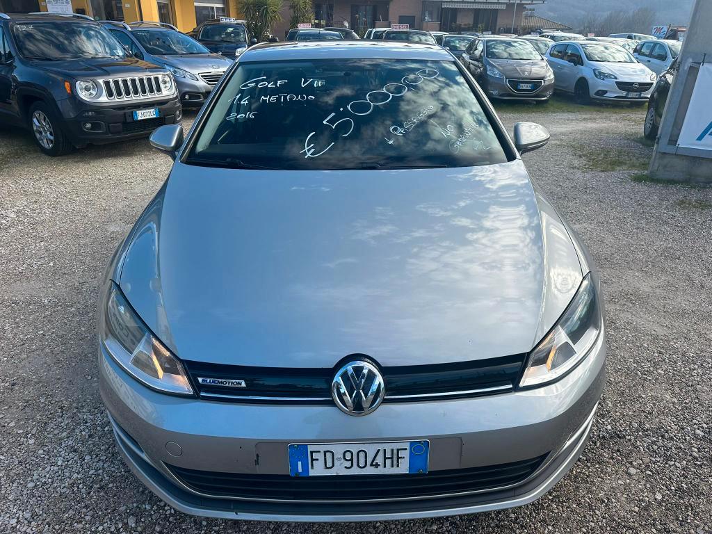 Volkswagen Golf 5 Porte Golf 5p 1.4 tgi Highline Executive (business)