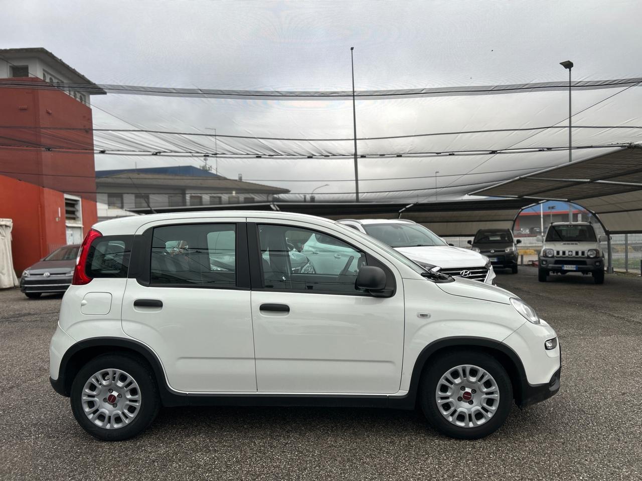 Fiat Panda 1.0 firefly hybrid s&s 70cv 5p.ti