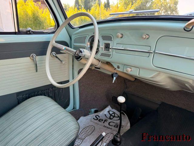 VOLKSWAGEN Maggiolino maggiolino