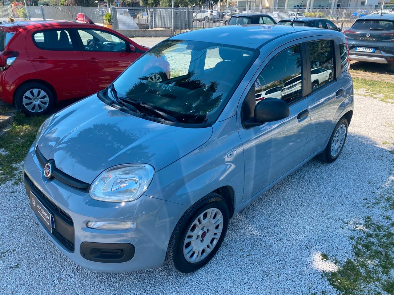 FIAT - Panda - 1.2 Easy - NEOPATENTATI - FINANZIABILE - PERMUTE