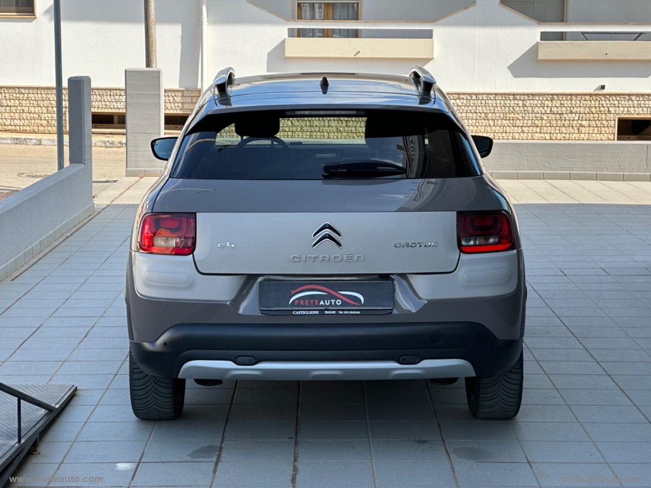 CITROEN C4 Cactus BlueHDi 100 Rip Curl