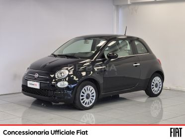 Fiat 500 1.2 lounge 69cv GPL