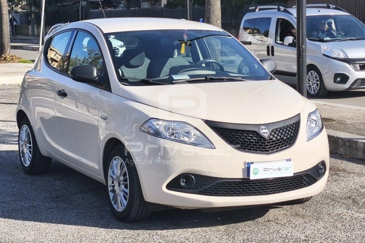 LANCIA Ypsilon 1.2 69 CV 5 porte Elefantino