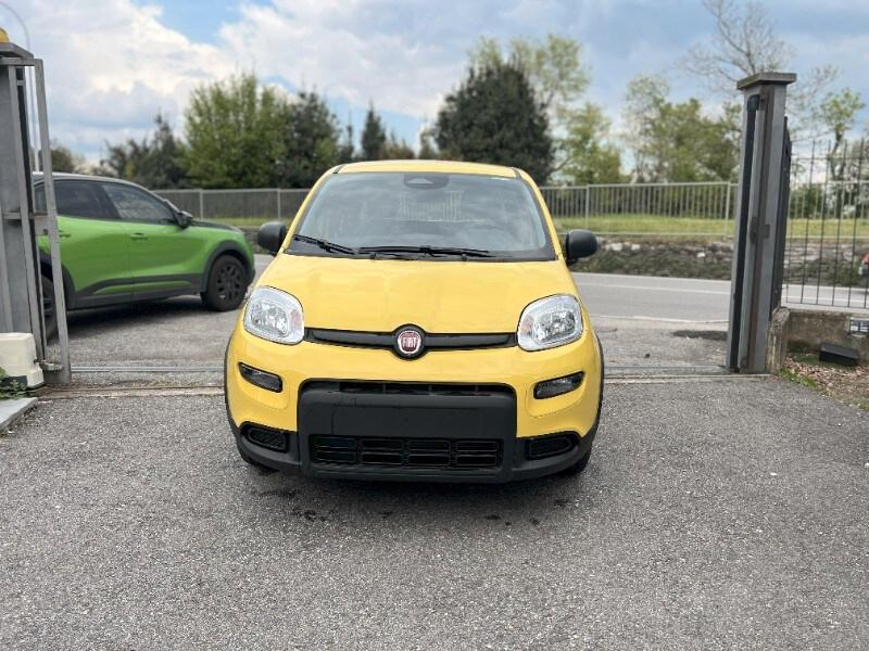 FIAT Panda 3ª serie Panda 1.0 FireFly S&S Hybr...