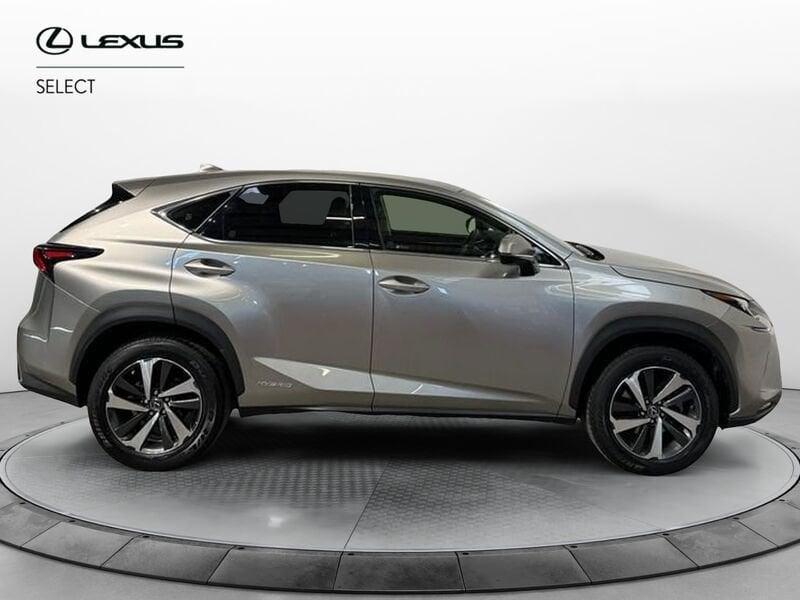 Lexus NX Hybrid 4WD Luxury