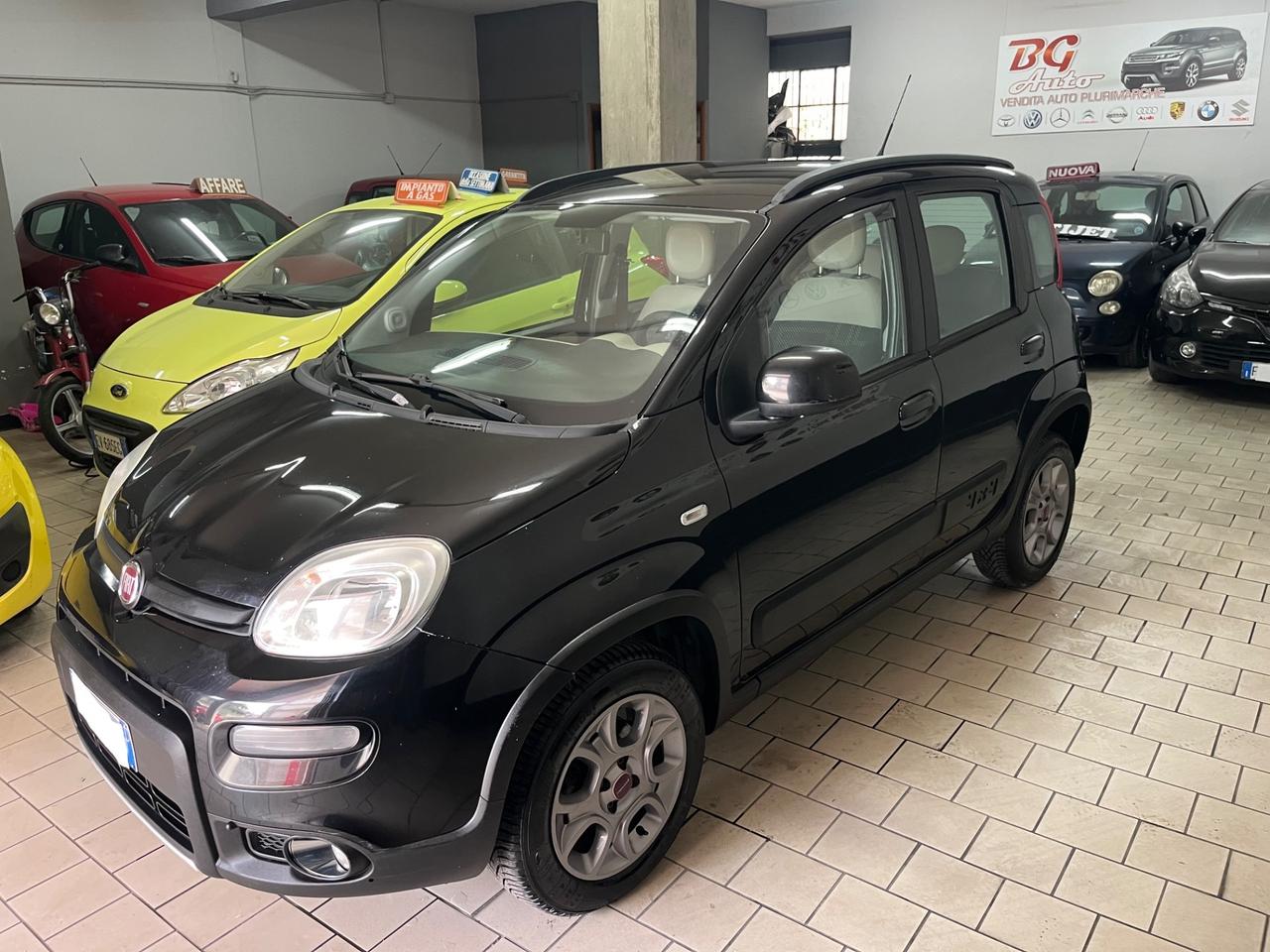 Fiat Panda 1.3 MJT 4x4 climbing eld