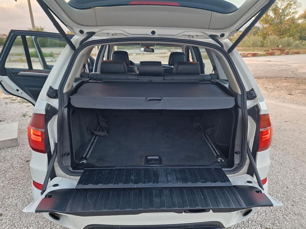 BMW X5 xDrive30d Futura - 2011