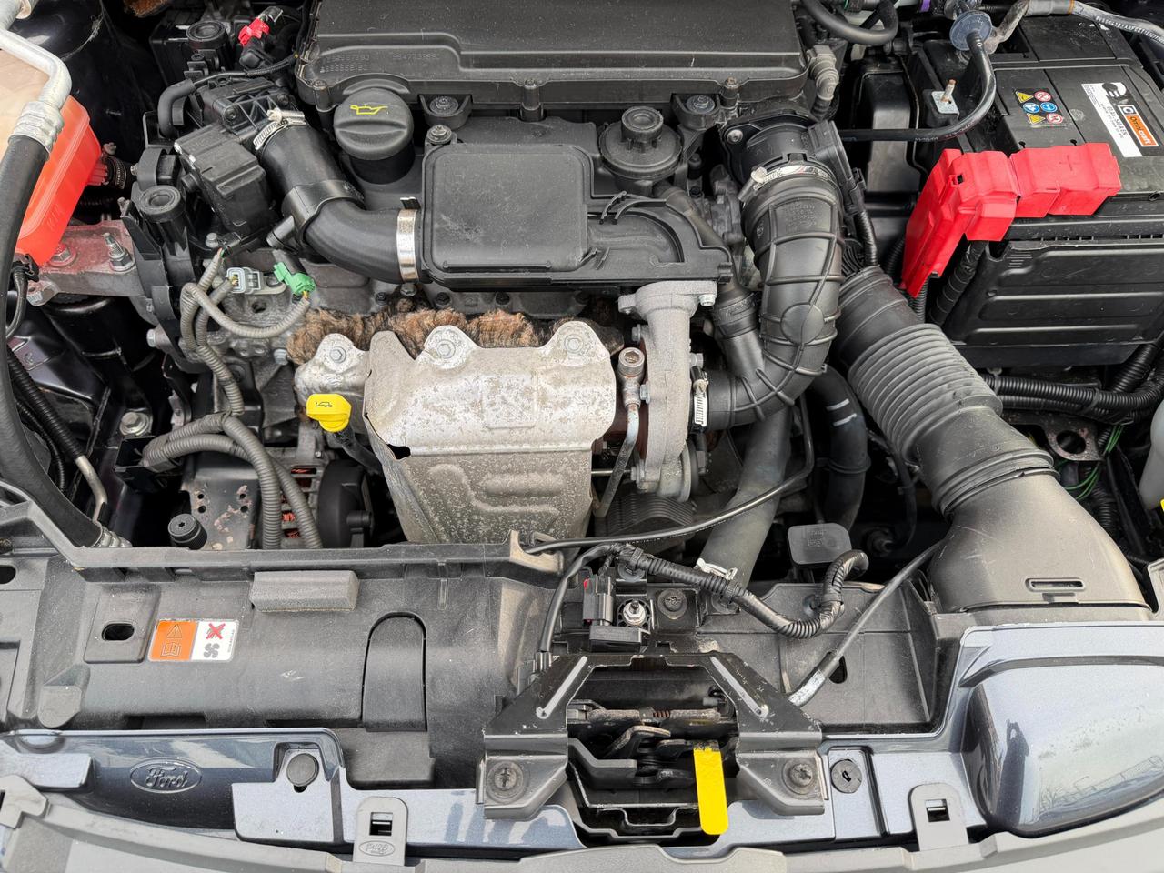 Ford Fiesta 5 Porte Fiesta 5p 1.4 tdci +