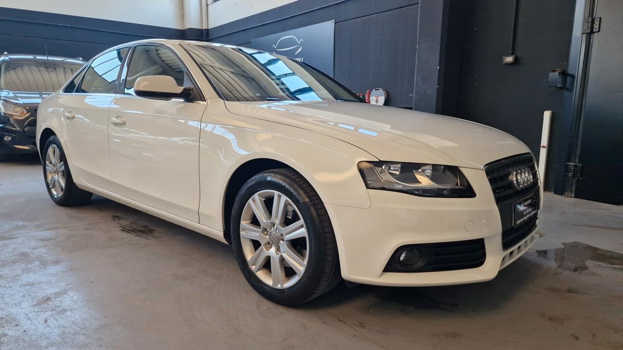 Audi A4 2.0 TDI 170CV F.AP. quattro