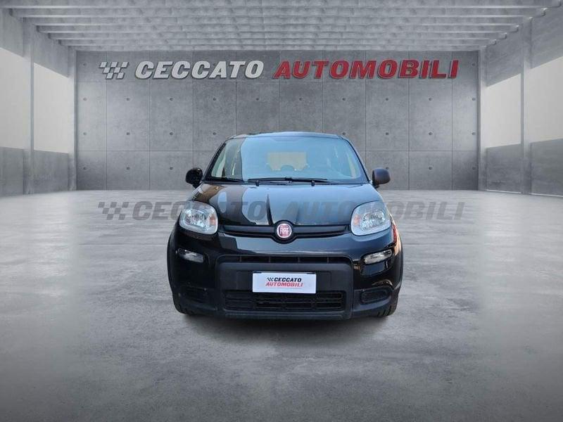 FIAT Panda Panda 1.0 firefly hybrid s&s 70cv 5p.ti