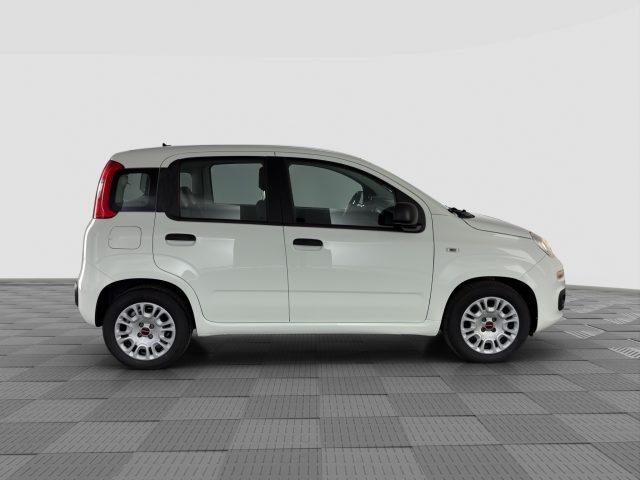 FIAT Panda Panda 1.0 FireFly 70cv S&S Hybrid E6d-Final EASY