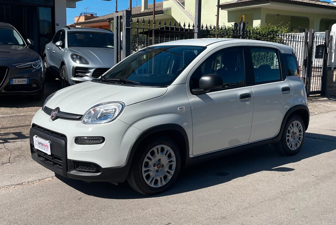 FIAT Panda 1.0 FireFly 70CV S&S HYBRID