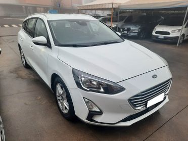 Ford Focus 1.5 EcoBlue 95 CV SW Business AUTOCARRO