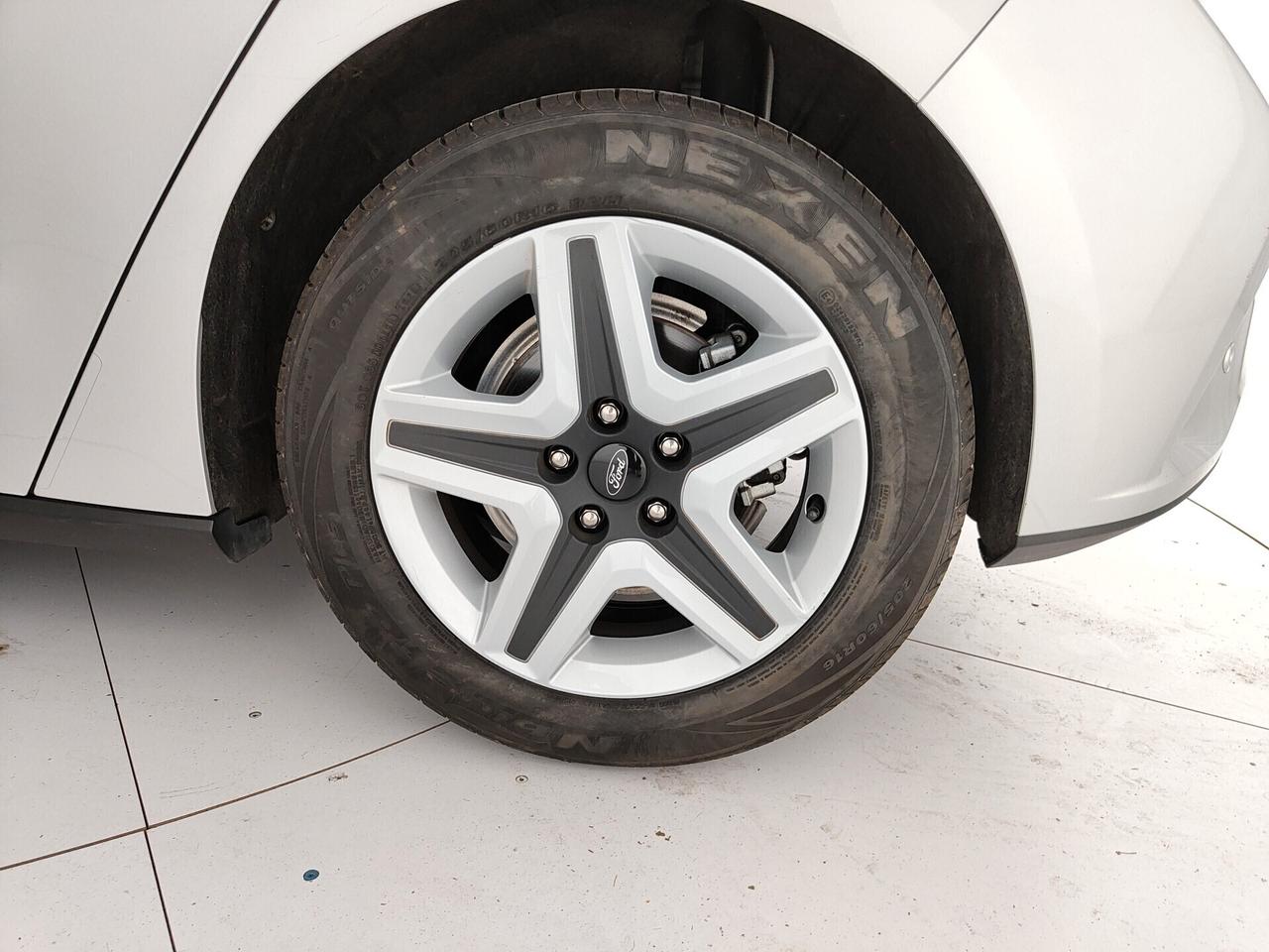 Ford Focus 1.5 EcoBlue 120 CV 5p. aut. Business