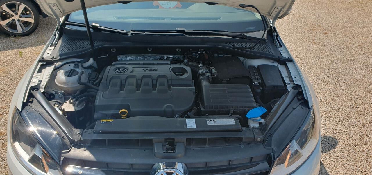 Volkswagen Golf 1.6 Tdi 110 CV DSG 5p. Executive