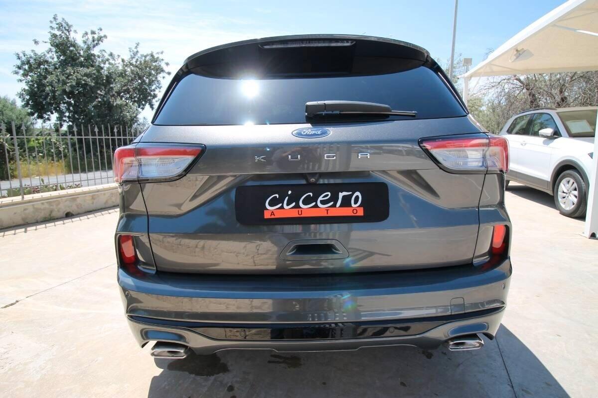 Ford Kuga 1.5 EcoBlue 120 CV auto ST-Line |2022