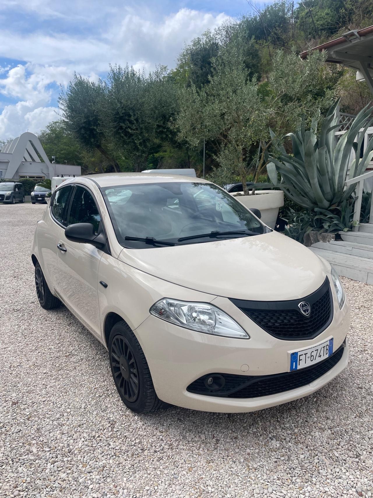 Lancia Ypsilon 1.2 69 CV 5 porte S&S Platinum