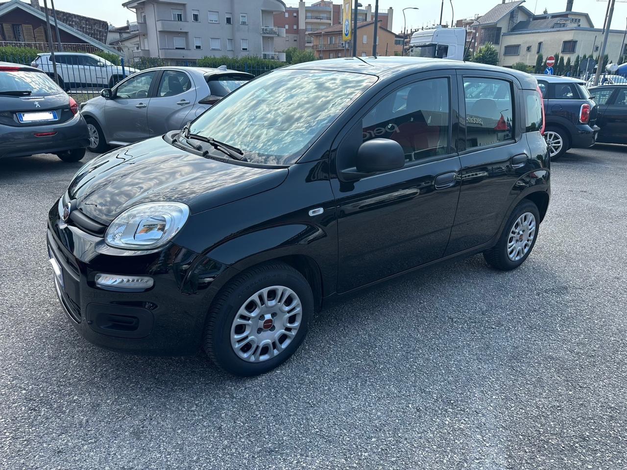 Fiat Panda 1.2 fire 4 cilindri 2021