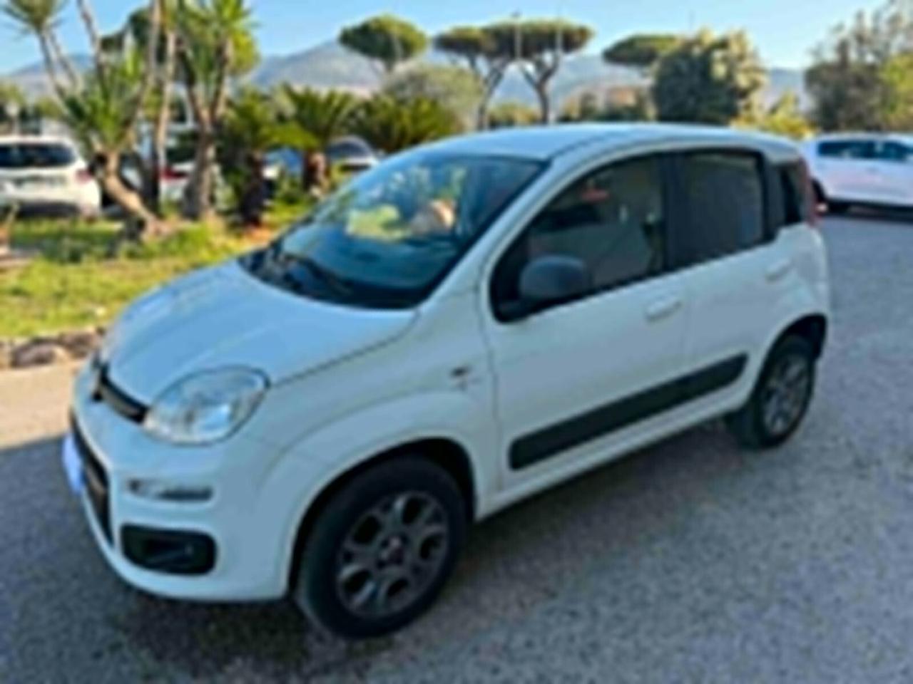 Fiat Panda 4X4 N 1.3 MJT S&S Pop Van 2 posti