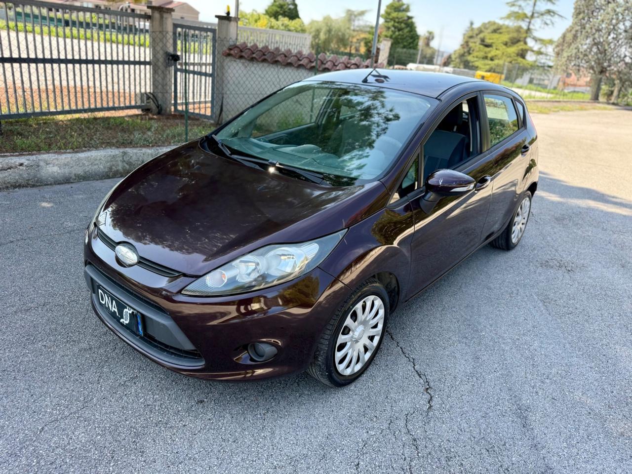 Ford Fiesta Diesel 1.4 TDCi Neopatentati