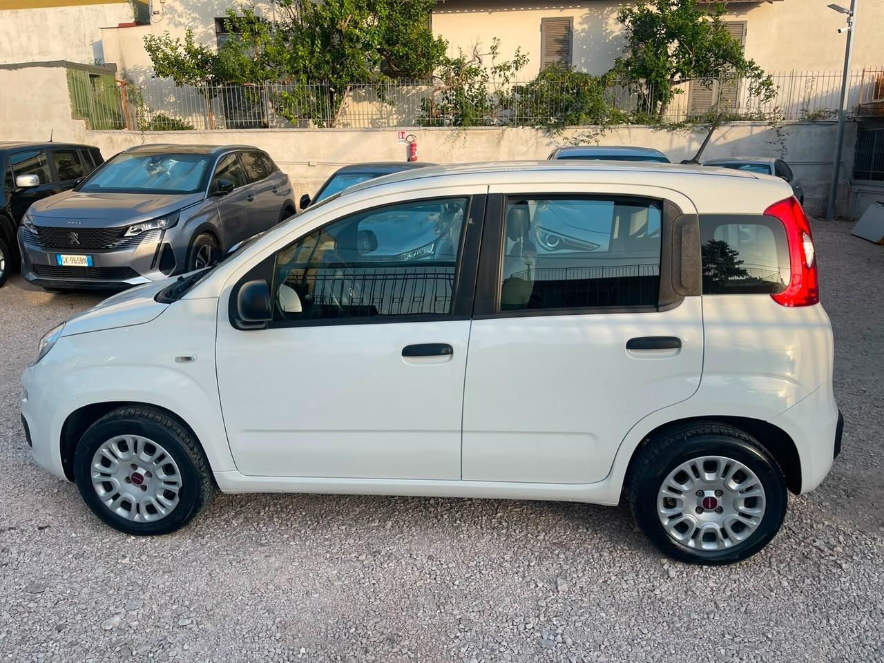 FIAT FIAT PANDA 1.2cc 69cc S&S