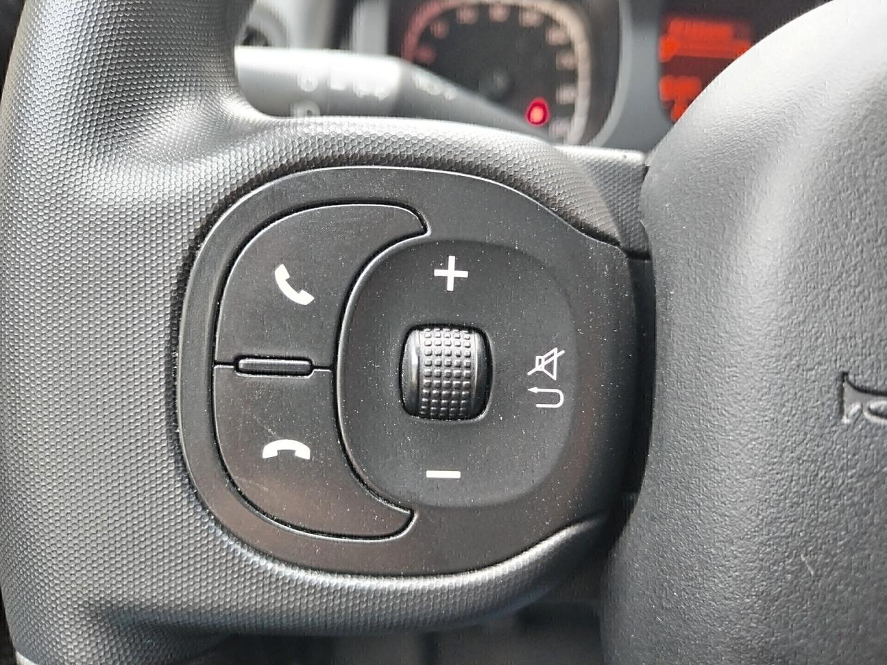 Fiat Panda 1.0 Hybrid GPL BRC - 2022