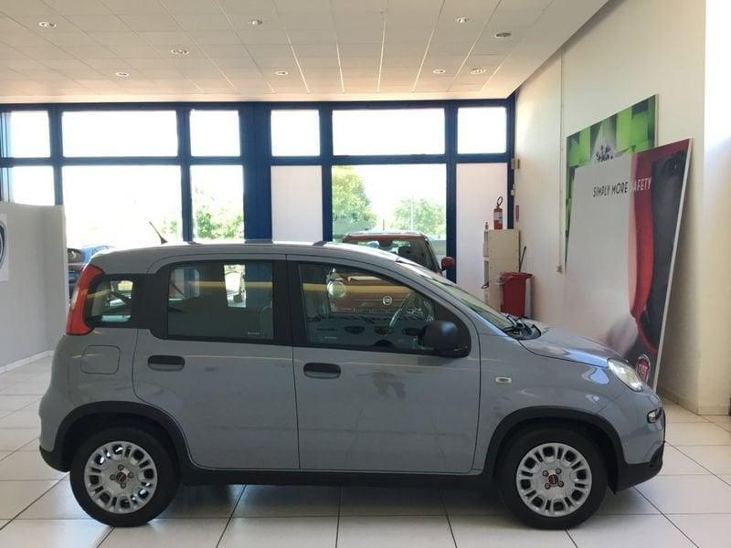 FIAT Panda 1.0 FireFly 70cv S&S Hybrid MY23