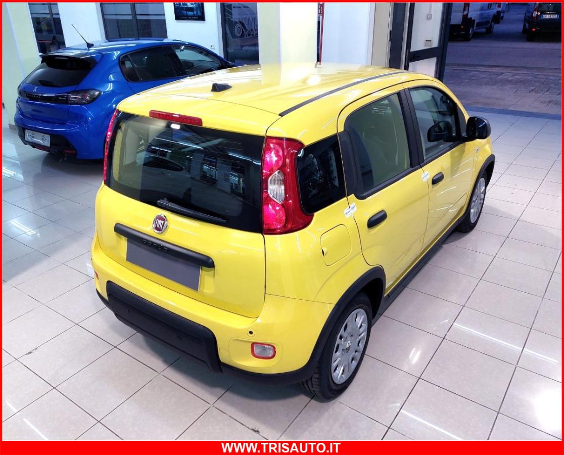 FIAT Panda 1.0 FireFly S&S Hybrid MY24 KM ZERO!!! IVATA NEOPATENTATI